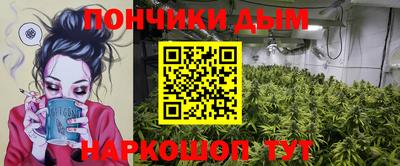 гидропоника Краснознаменск