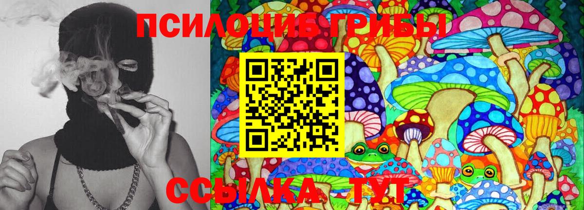Галлюциногенные грибы Psilocybine cubensis  Псилоцибиновые грибы мухоморы  Вход с VPN  Клинцы 